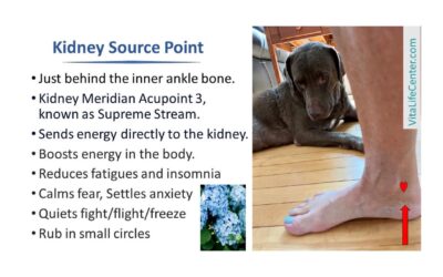 Kidney Source Point