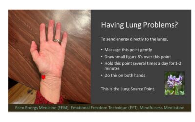 Lung Source Point