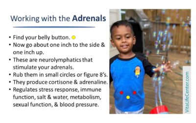 Working with the Adrenals