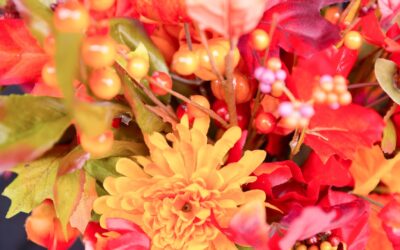 Gratitude: Thankfulness – Recognized and Expressed