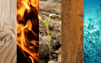 Increase the Holiday Survival Rate with the Five Elements