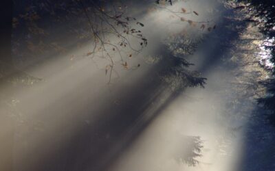 Eden Energy Medicine – Regression