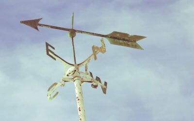 Topsy Turvy Tax Time